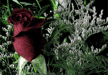 CreativeWanda10 - flowers, nature, the penciled look